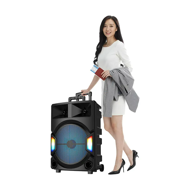 Wireless Bluetooth Speaker 15 inch with Microphone