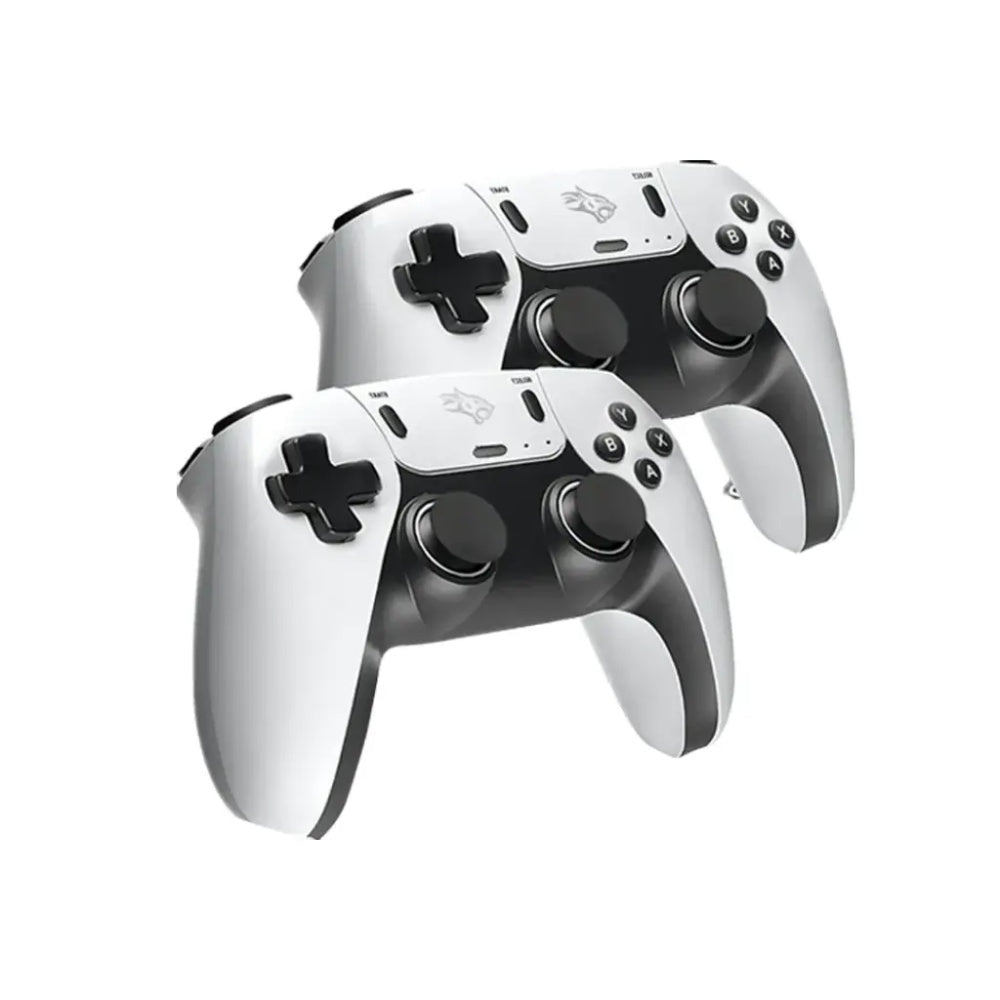 Premium Gaming Projector with Controllers