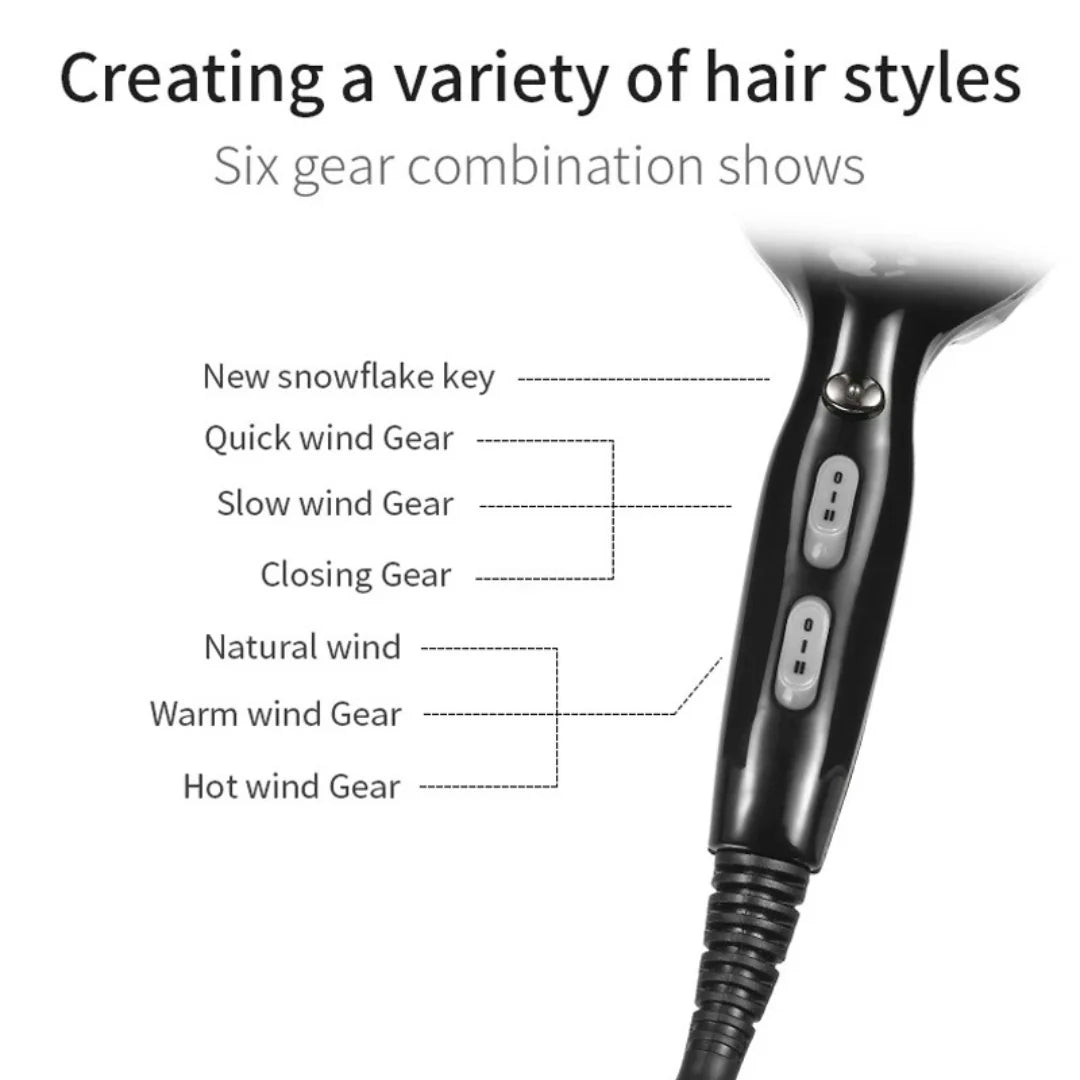 V413 Professional Hair Dryer _ 2200W High Power