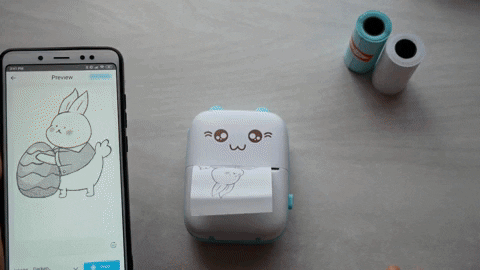 Bluetooth Pocket Mini Printer, For Android & iOS With 1 Free Paper Rol