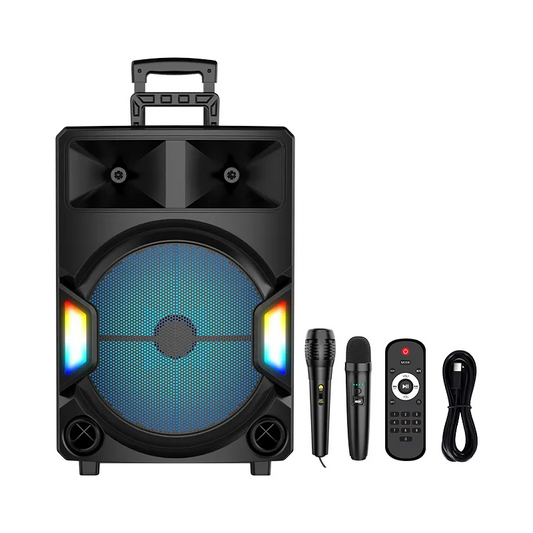 Wireless Bluetooth Speaker 15 inch with Microphone