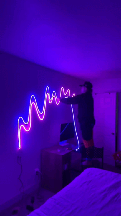 RGB Neon Rope Strip Lights