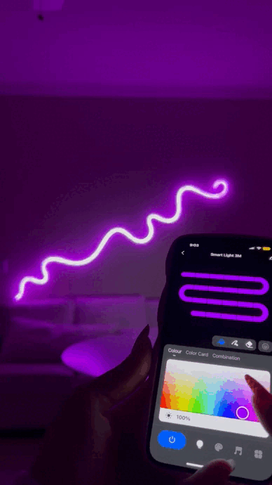 RGB Neon Rope Strip Lights