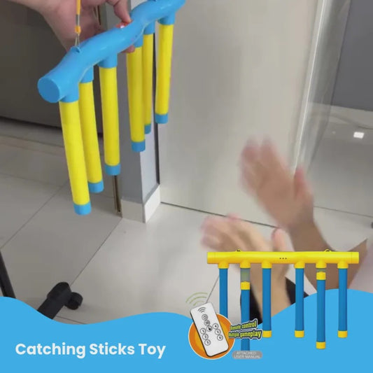 Catching Stick Toy