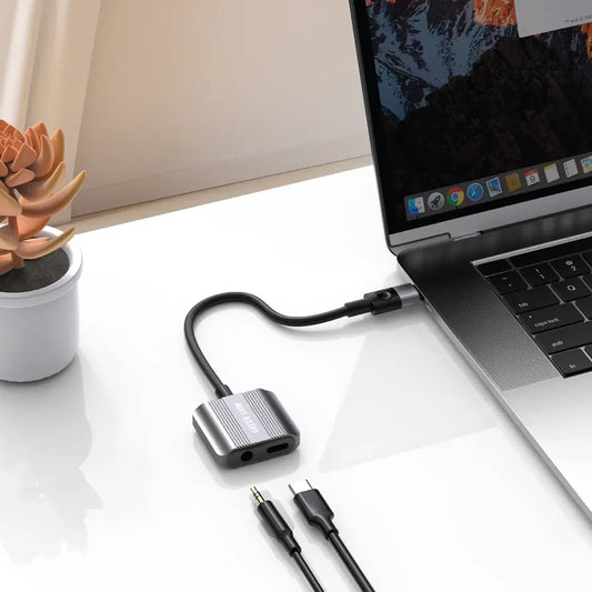 Green Lion 2 In 1 Splitter Adapter Type-C to AUX & Type-C